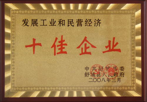 07年十佳企業(yè)1