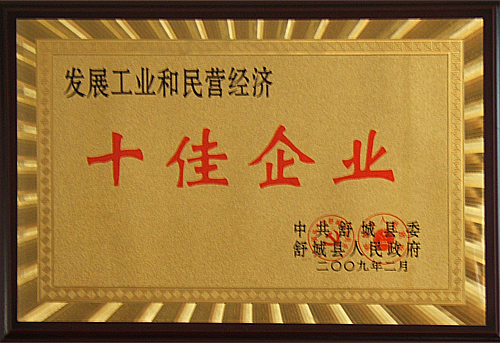 08年十佳企業(yè)1