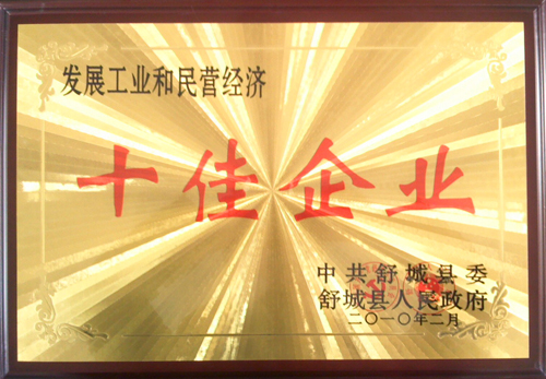09年十佳企業(yè)1